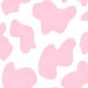 Meet your Posher, Azia